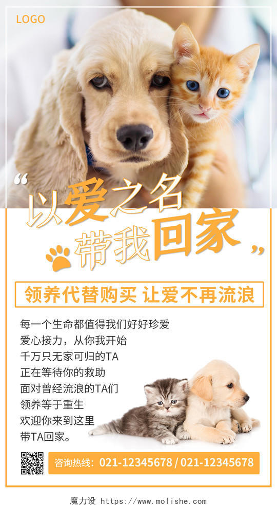 黄色简约小清新宠物领养宠物手机文案海报